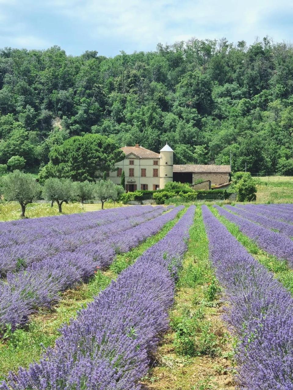 Вілла Domaine Des Balmes Роман-сюр-Ізер Екстер'єр фото