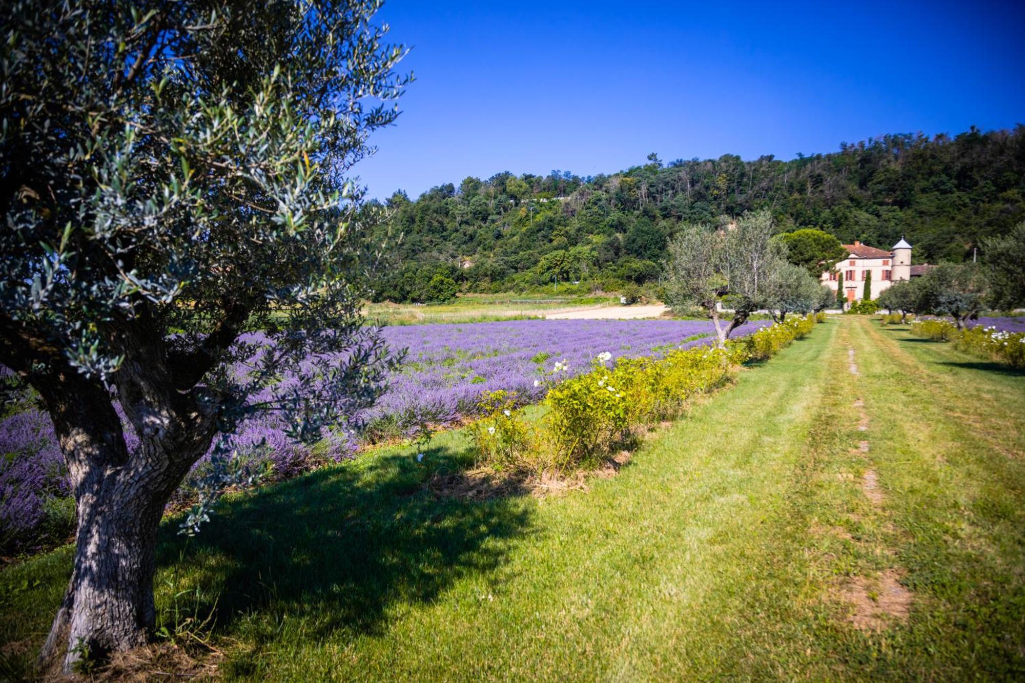 Вілла Domaine Des Balmes Роман-сюр-Ізер Екстер'єр фото